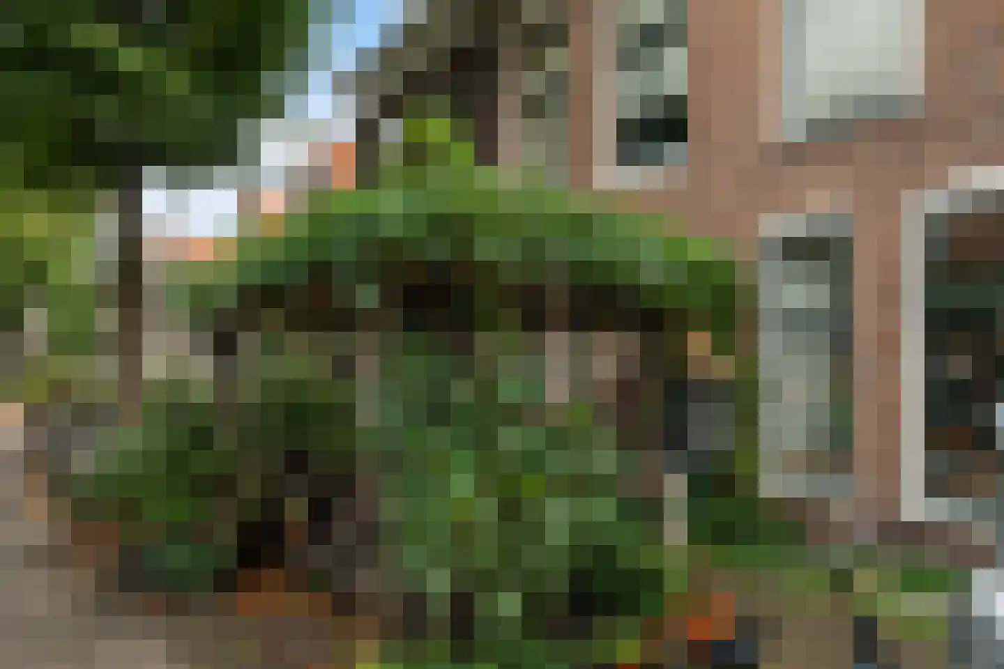 Uiterstegracht 152 Leiden thumbnail 35