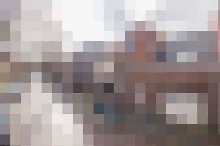 Uiterstegracht 64 Leiden thumbnail 4