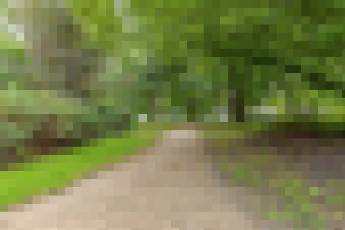 Uiterstegracht 64 Leiden thumbnail 43