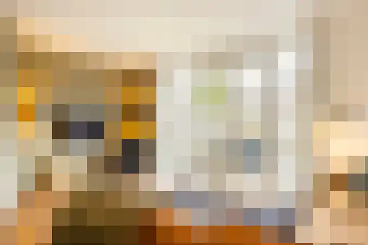 Uiterwaalhof 2 Ede thumbnail 11