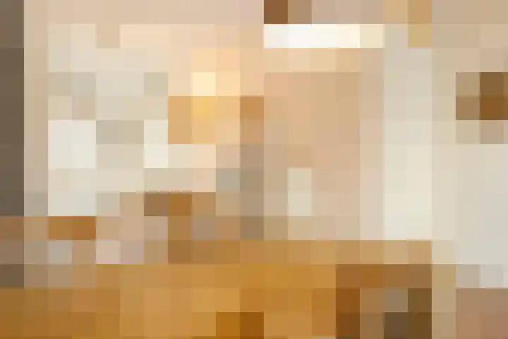 Uiterwaalhof 2 Ede thumbnail 12