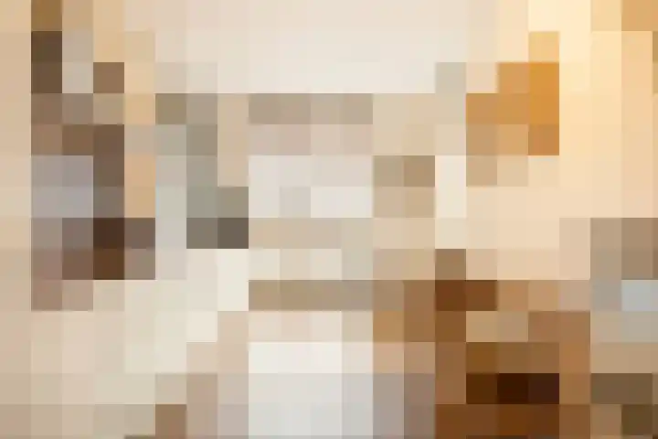 Uiterwaalhof 2 Ede thumbnail 13