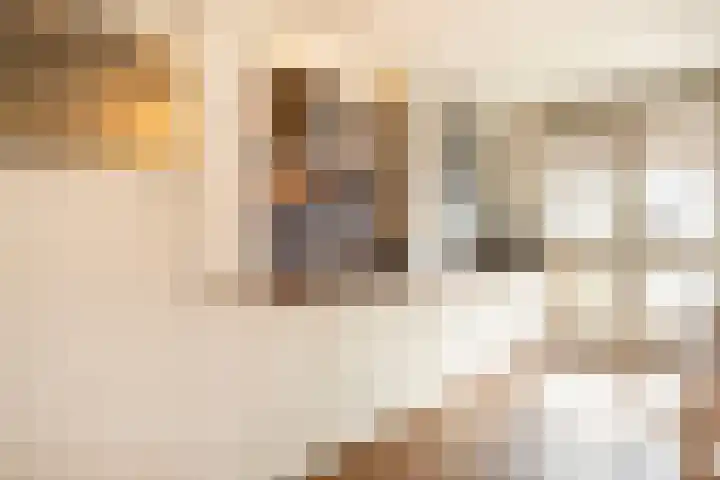 Uiterwaalhof 2 Ede thumbnail 14