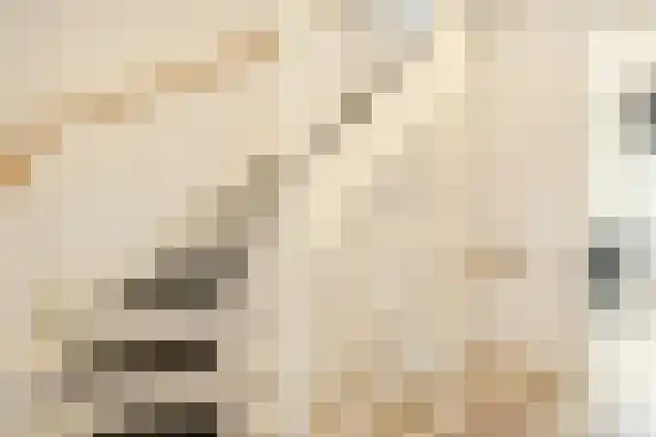 Uiterwaalhof 2 Ede thumbnail 16