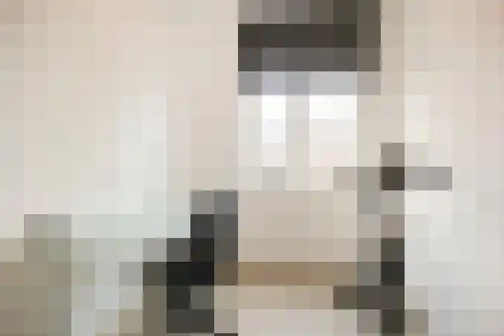 Uiterwaalhof 2 Ede thumbnail 19
