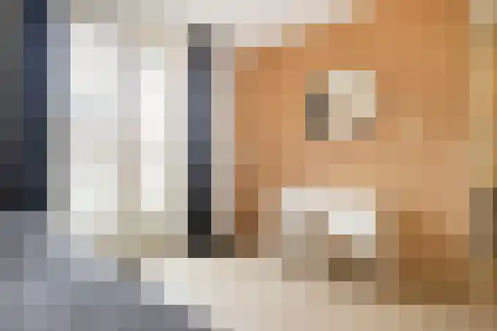 Uiterwaalhof 2 Ede thumbnail 22