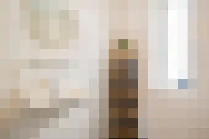 Uiterwaalhof 2 Ede thumbnail 26