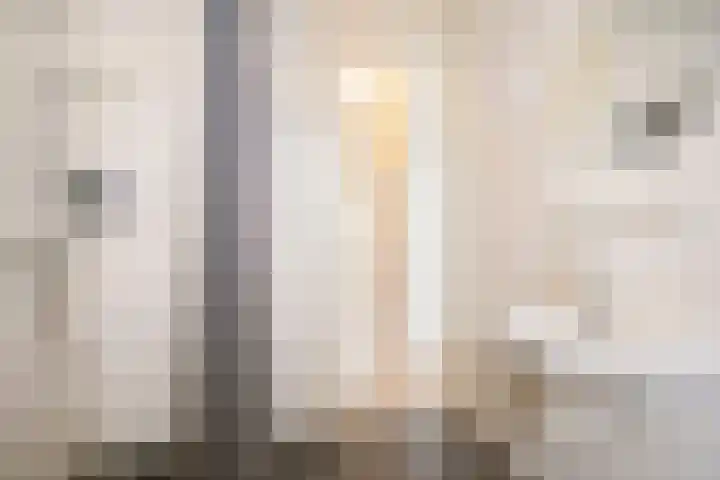Uiterwaalhof 2 Ede thumbnail 27