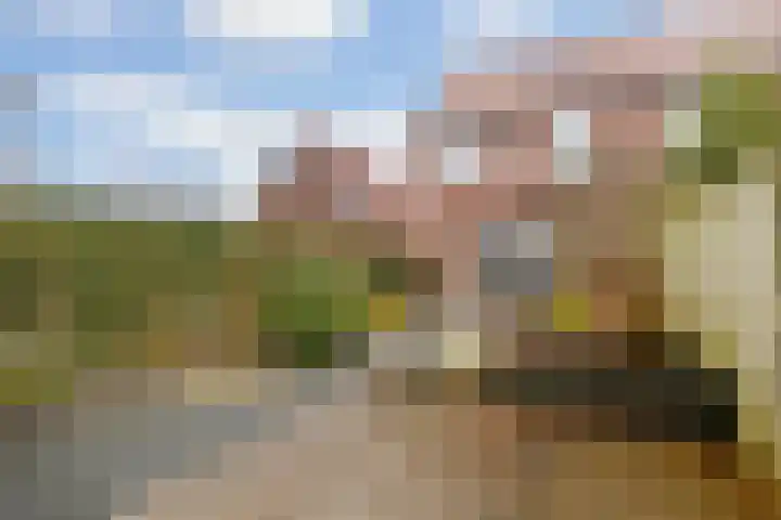 Uiterwaalhof 2 Ede thumbnail 34