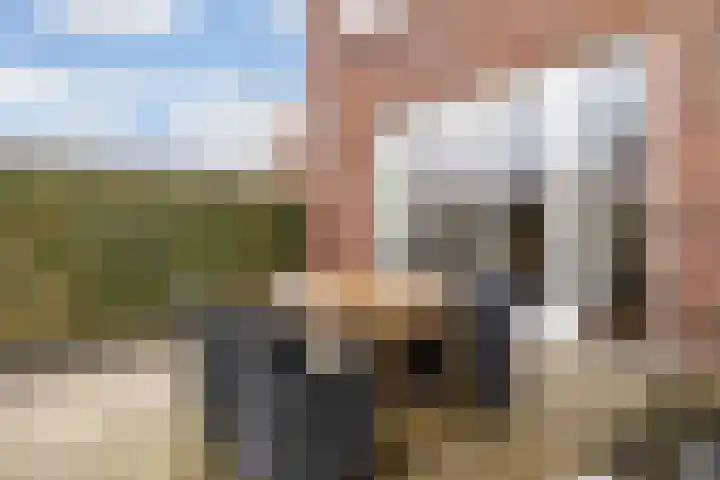 Uiterwaalhof 2 Ede thumbnail 36