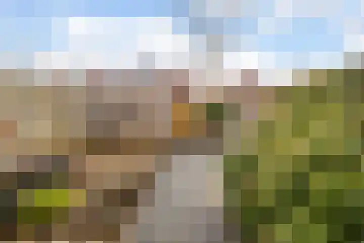 Uiterwaalhof 2 Ede thumbnail 37