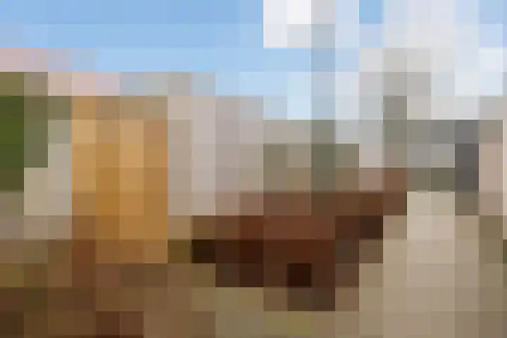 Uiterwaalhof 2 Ede thumbnail 39