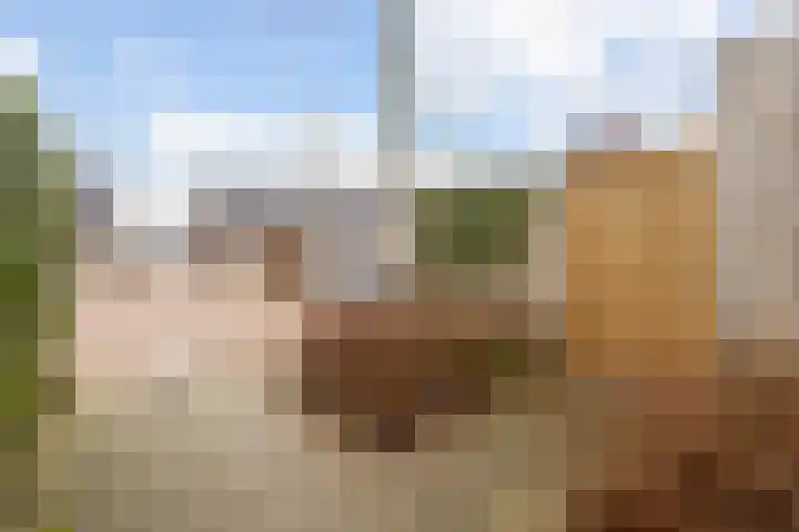 Uiterwaalhof 2 Ede thumbnail 40