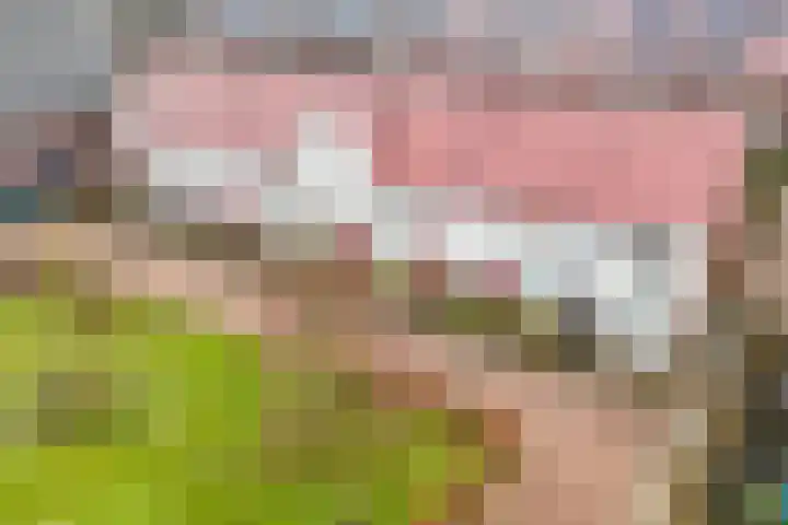 Uiterwaalhof 2 Ede thumbnail 42