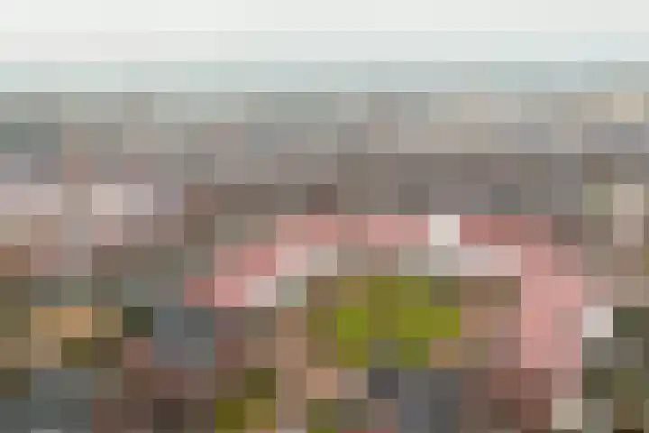 Uiterwaalhof 2 Ede thumbnail 44