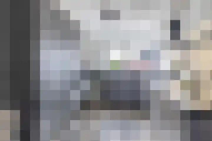 Uiterwaard 10 Lopik thumbnail 17