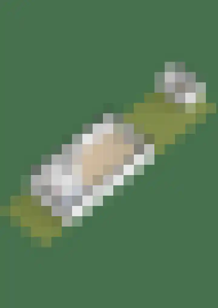 Uiterwaard 10 Lopik thumbnail 45