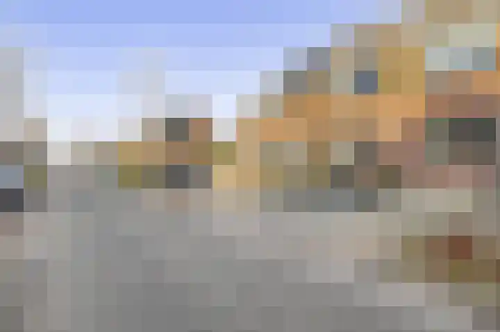 Uiterwaard 10 Lopik thumbnail 6
