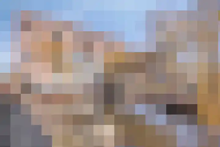 Uiterwaard 132 Zoetermeer thumbnail 11