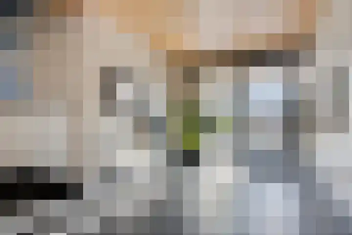 Uiterwaard 132 Zoetermeer thumbnail 16