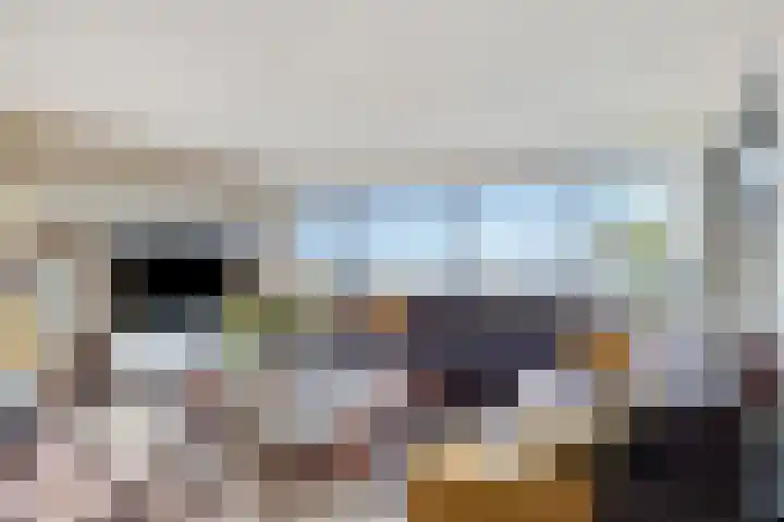 Uiterwaard 132 Zoetermeer thumbnail 30