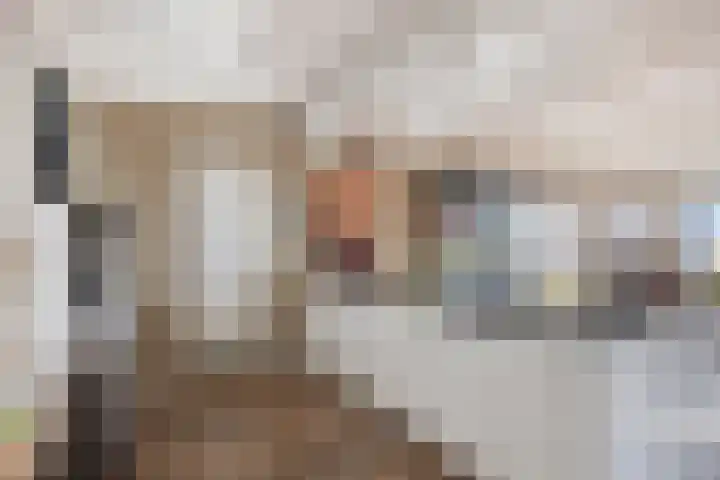 Uiterwaard 132 Zoetermeer thumbnail 36