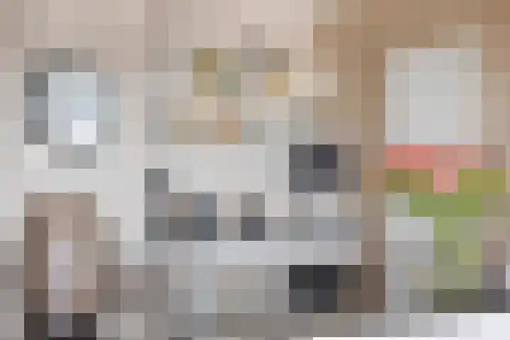 Uiterwaard 132 Zoetermeer thumbnail 39