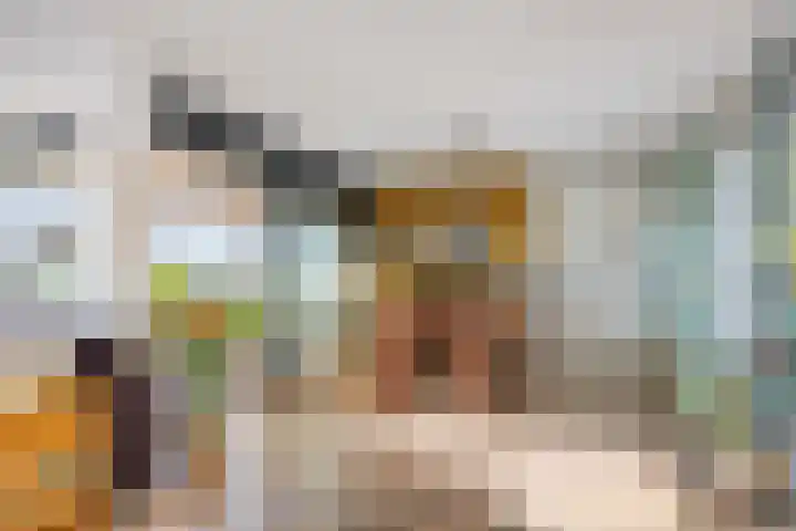 Uiterwaard 132 Zoetermeer thumbnail 43