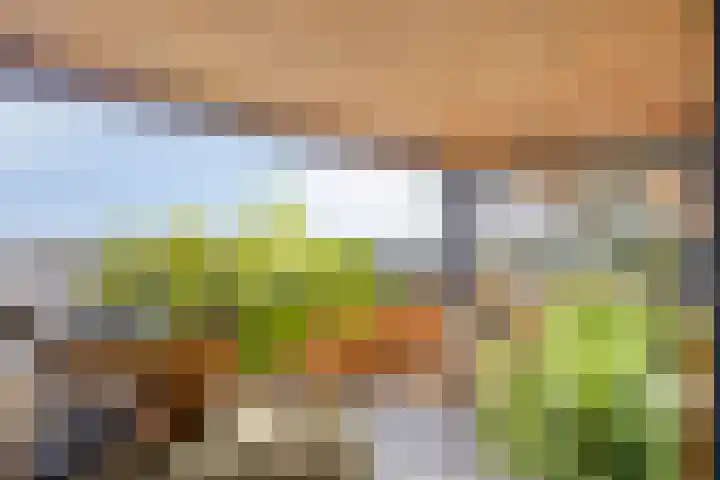 Uiterwaard 132 Zoetermeer thumbnail 44