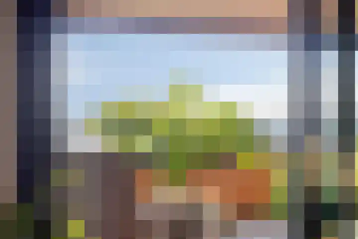 Uiterwaard 132 Zoetermeer thumbnail 48