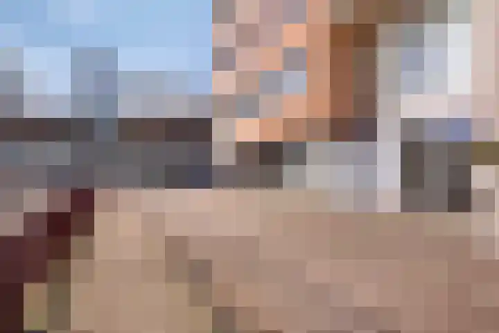 Uiterwaard 132 Zoetermeer thumbnail 5