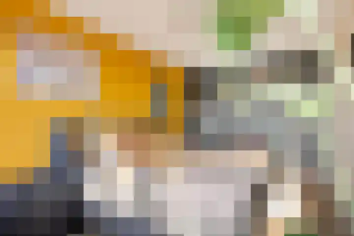 Uiterwaard 132 Zoetermeer thumbnail 55