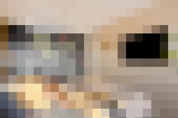 Uiterwaard 132 Zoetermeer thumbnail 56
