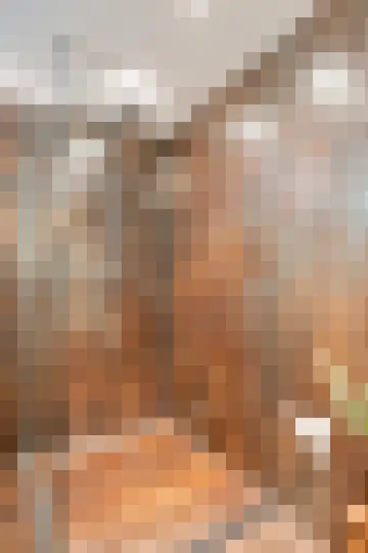 Uiterwaard 132 Zoetermeer thumbnail 60
