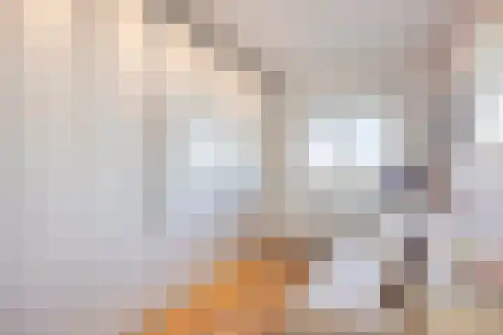 Uiterwaard 132 Zoetermeer thumbnail 66