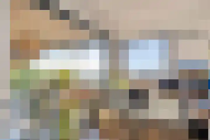 Uiterwaard 132 Zoetermeer thumbnail 71