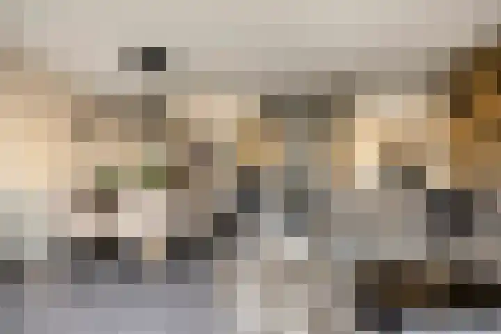 Uiterwaard 18 Hendrik-Ido-Ambacht thumbnail 10