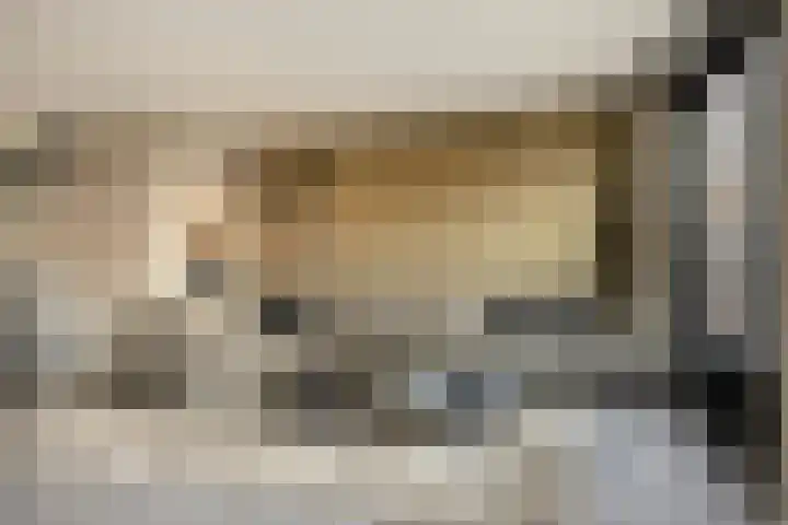 Uiterwaard 18 Hendrik-Ido-Ambacht thumbnail 11