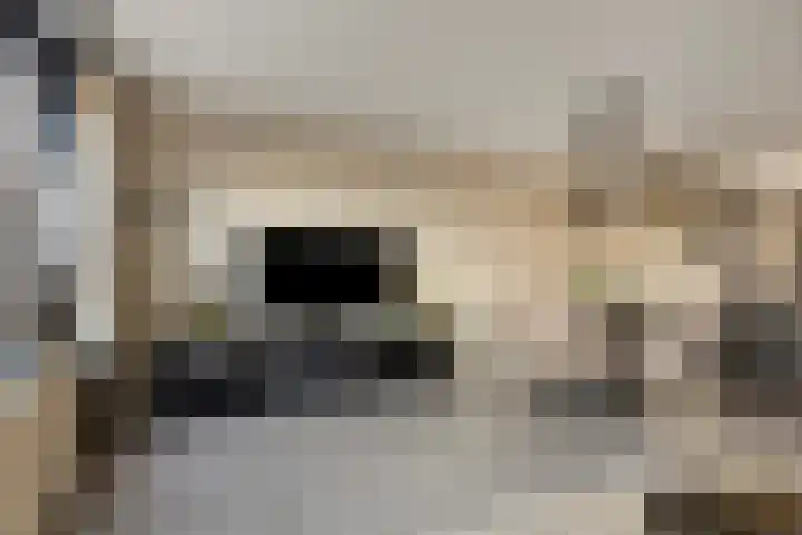 Uiterwaard 18 Hendrik-Ido-Ambacht thumbnail 13