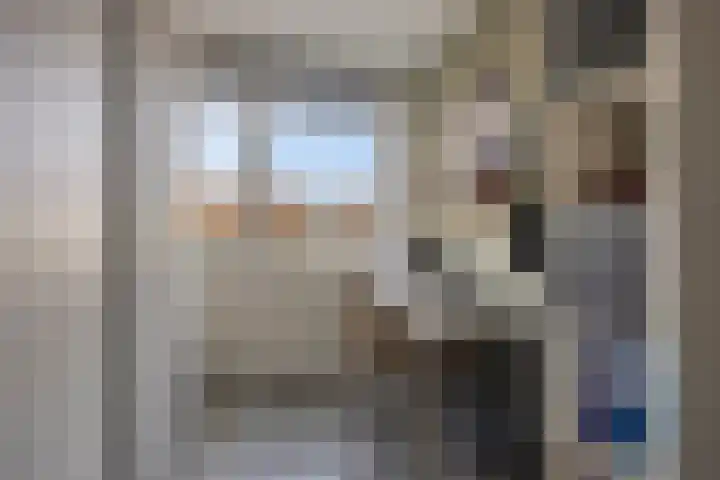 Uiterwaard 18 Hendrik-Ido-Ambacht thumbnail 21