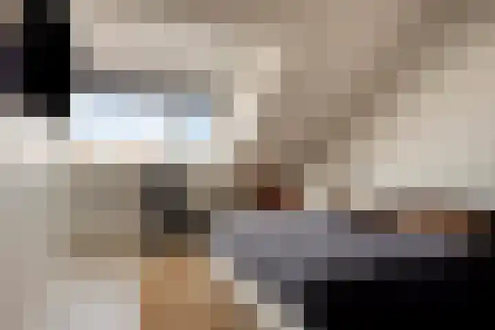 Uiterwaard 18 Hendrik-Ido-Ambacht thumbnail 25