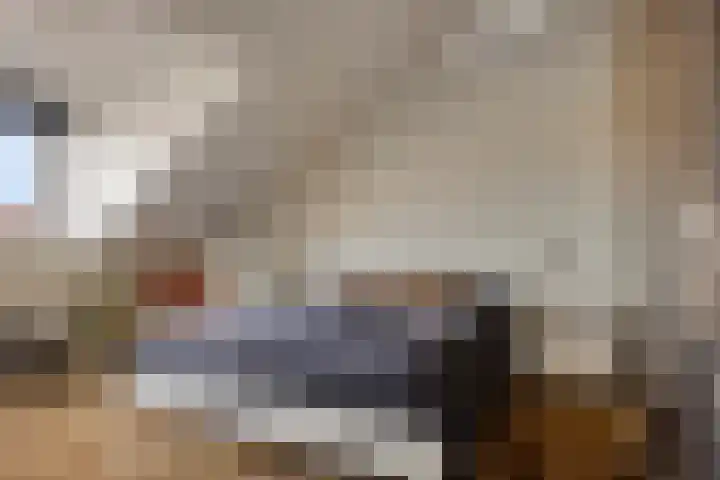 Uiterwaard 18 Hendrik-Ido-Ambacht thumbnail 26