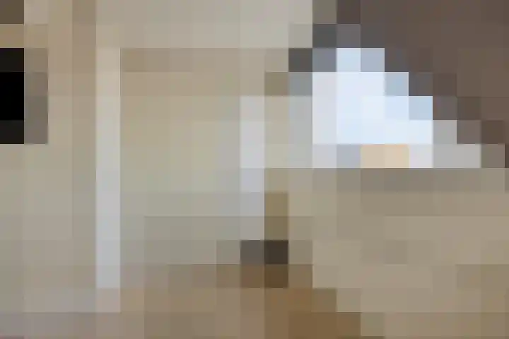 Uiterwaard 18 Hendrik-Ido-Ambacht thumbnail 28