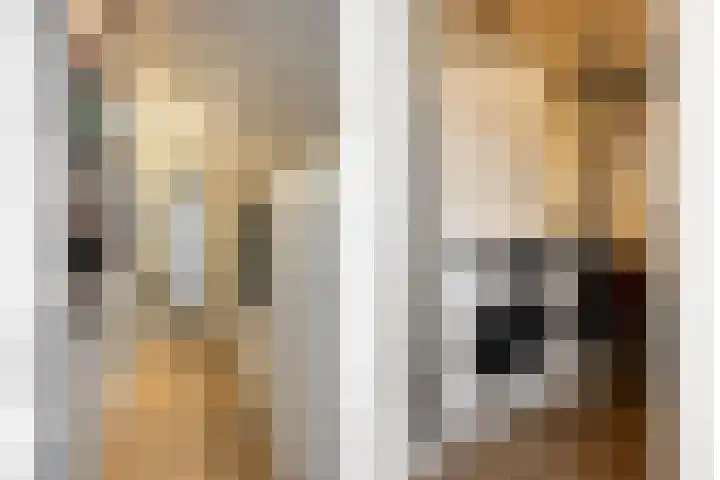 Uiterwaard 18 Hendrik-Ido-Ambacht thumbnail 29