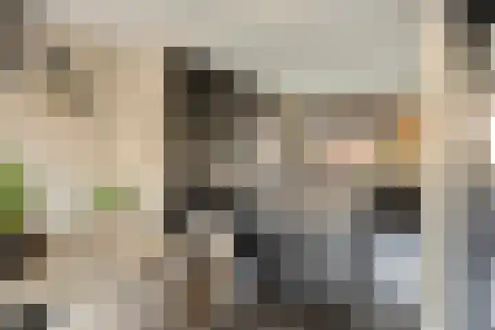 Uiterwaard 18 Hendrik-Ido-Ambacht thumbnail 5