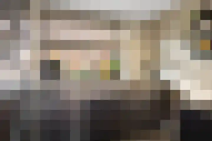 Uiterwaard 18 Hendrik-Ido-Ambacht thumbnail 6