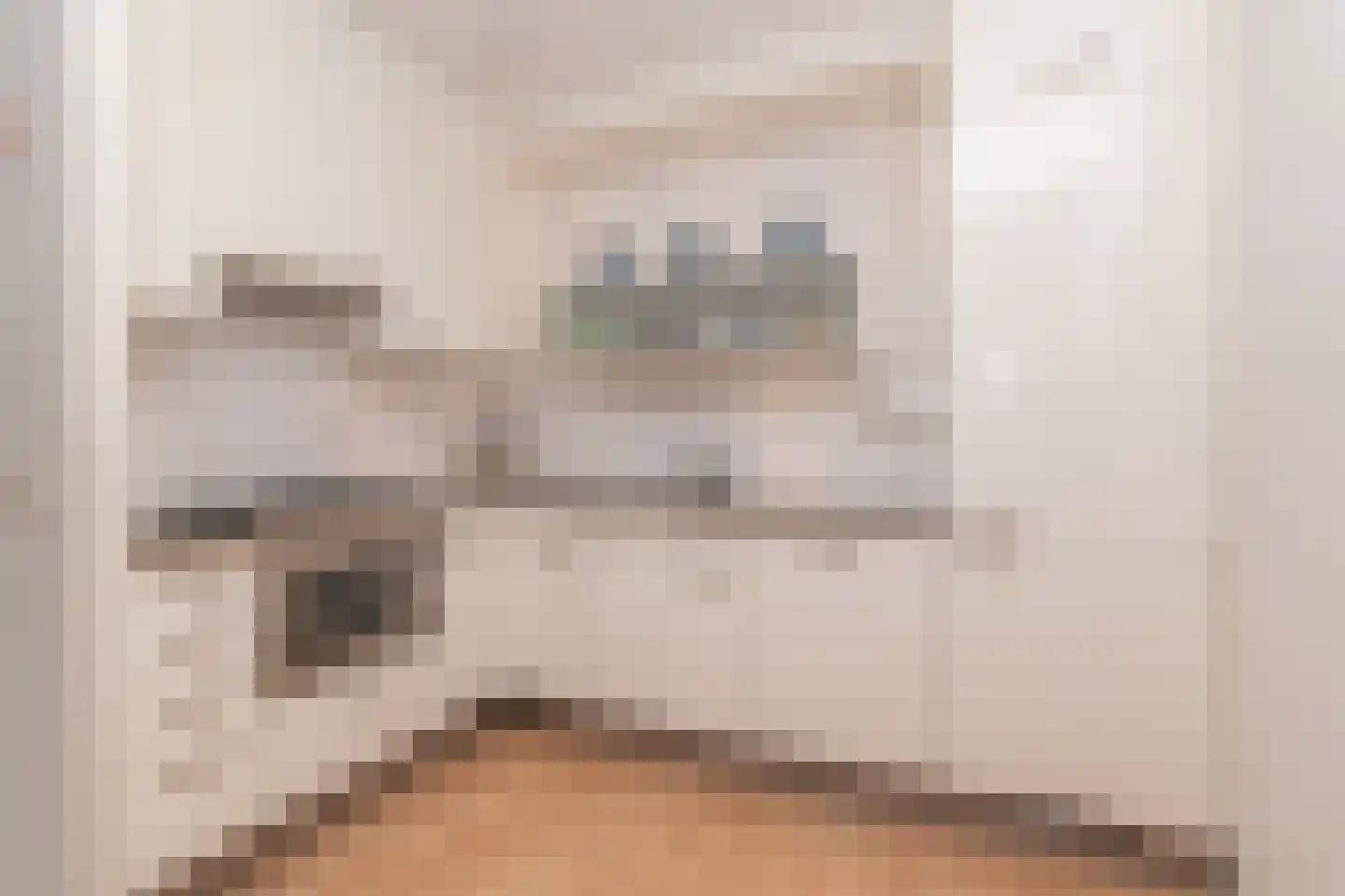 Uiterwaard 24 Zoetermeer thumbnail 12