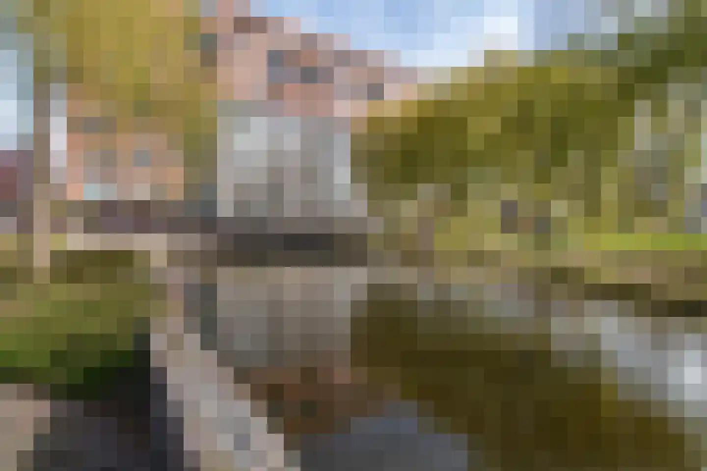 Uiterwaard 24 Zoetermeer thumbnail 16