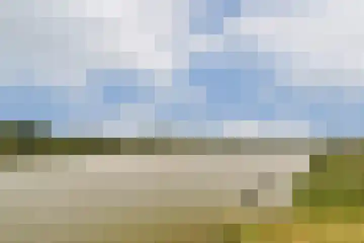 Uiterwaard 31 Moordrecht thumbnail 17