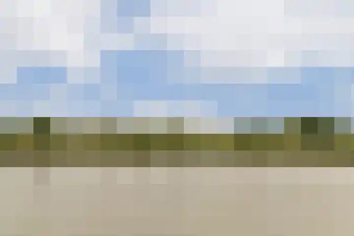 Uiterwaard 31 Moordrecht thumbnail 19